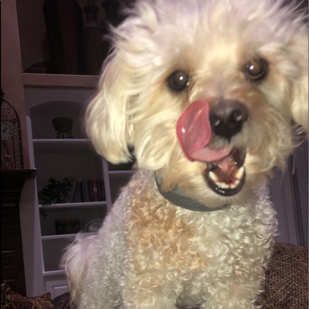 Meet your Posher, Ethan